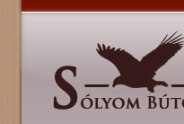 egyedi b�tor, tol�ajt�, be�p�tett szekr�ny, b�tor, asztalos